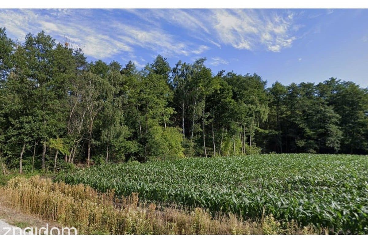 Działka leśna 1,5 ha w Justynowie