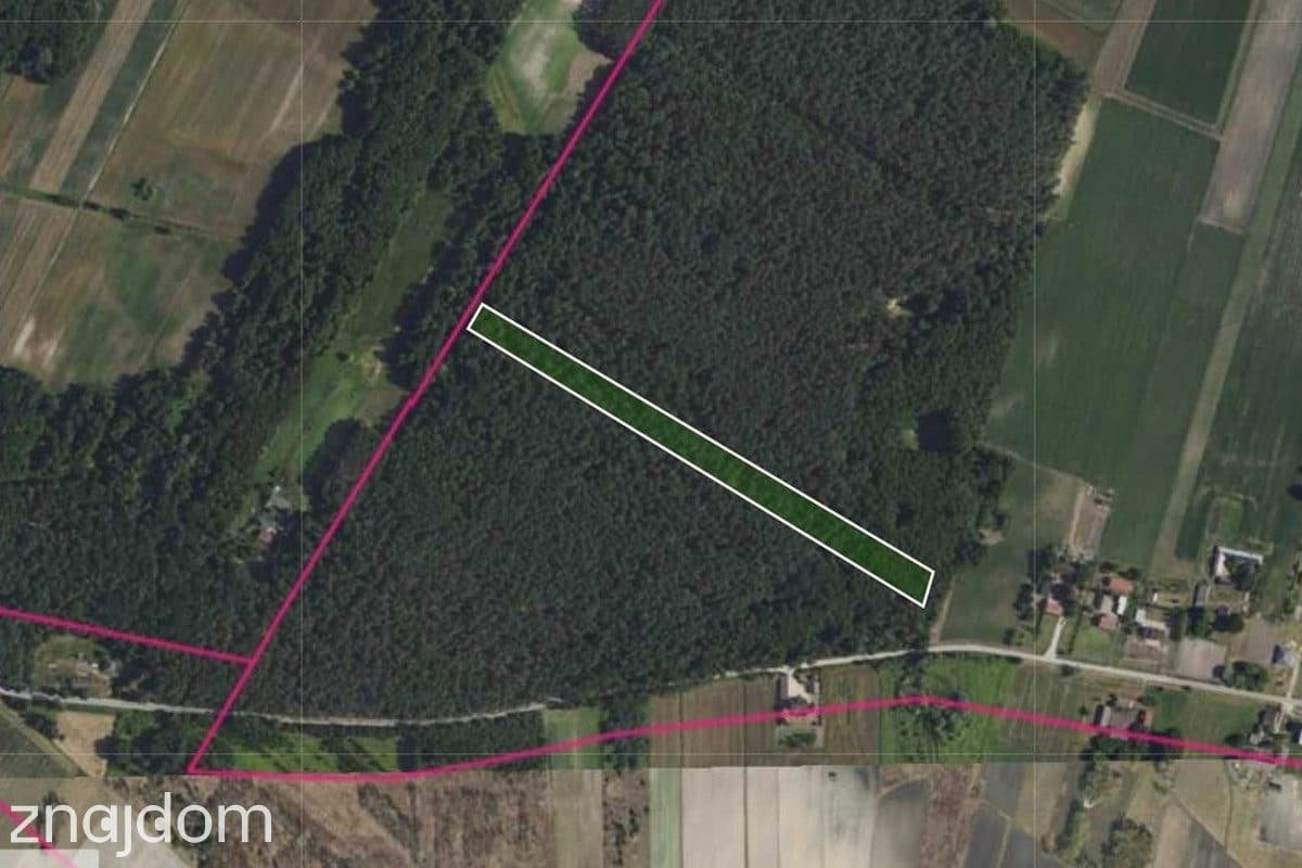 Działka leśna 1,5 ha w Justynowie - zdjęcie 2