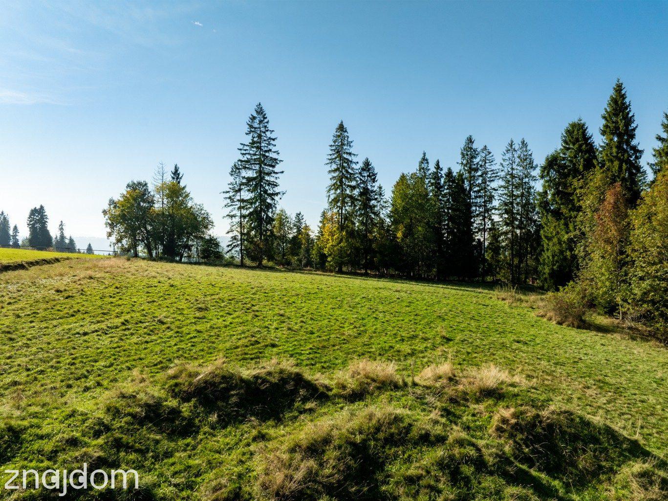 Tatry w zasięgu wzroku | działka 2991 m² - zdjęcie 6
