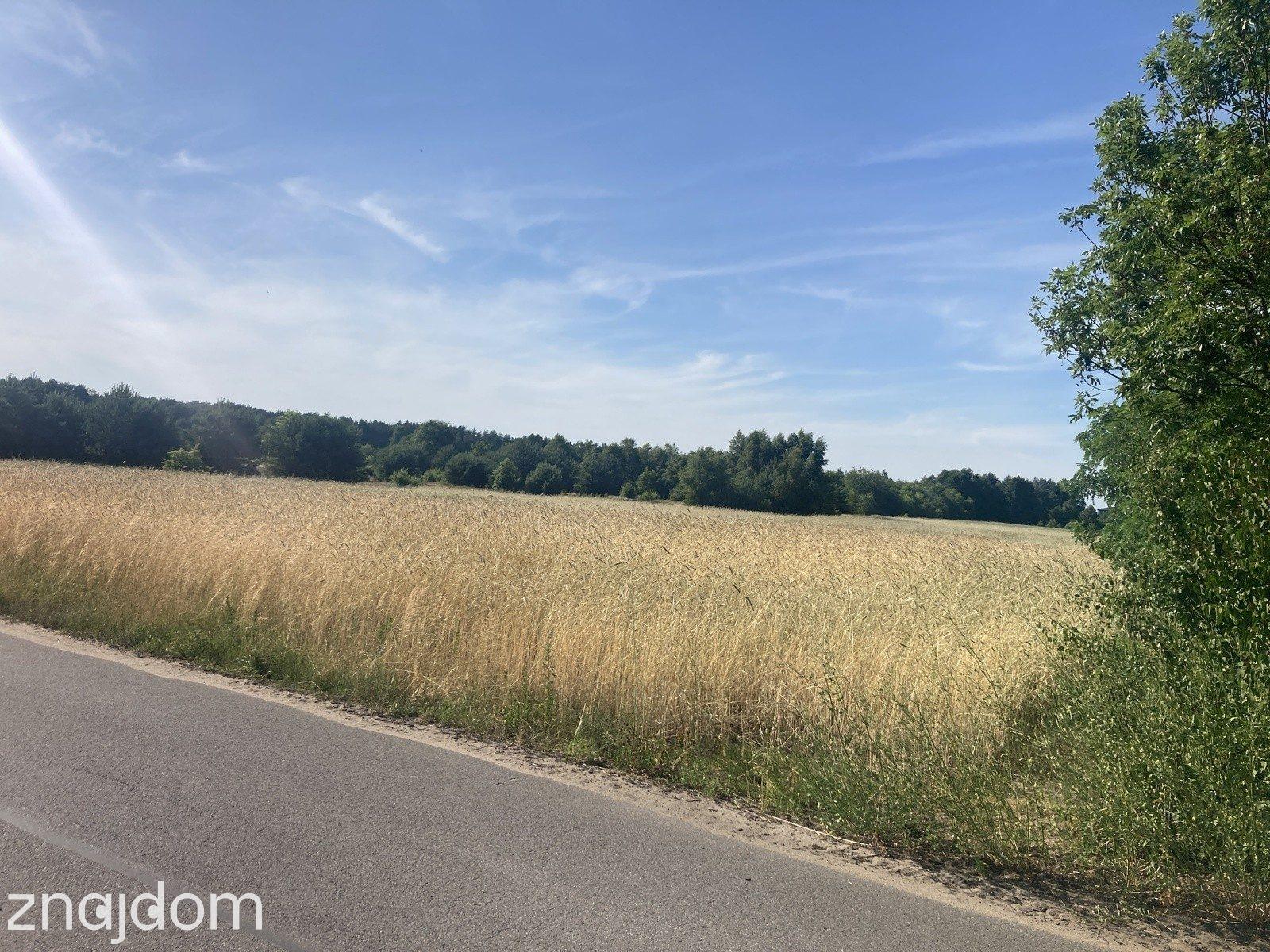 Działka 611 m², Ruda k. Radzymina, MPZP, media - zdjęcie 4