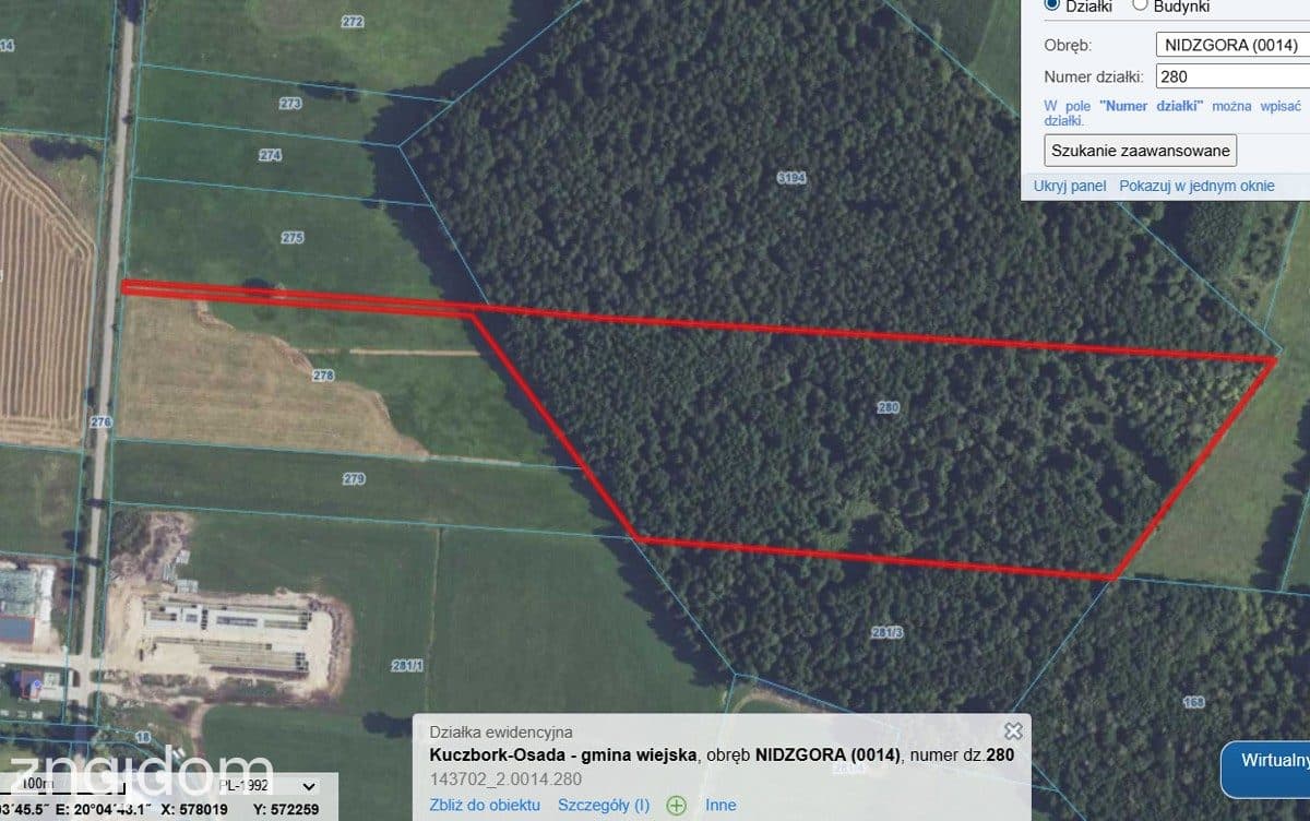 Las o powierzchni 5,23 ha – olcha, pow. żuromiński - zdjęcie 2