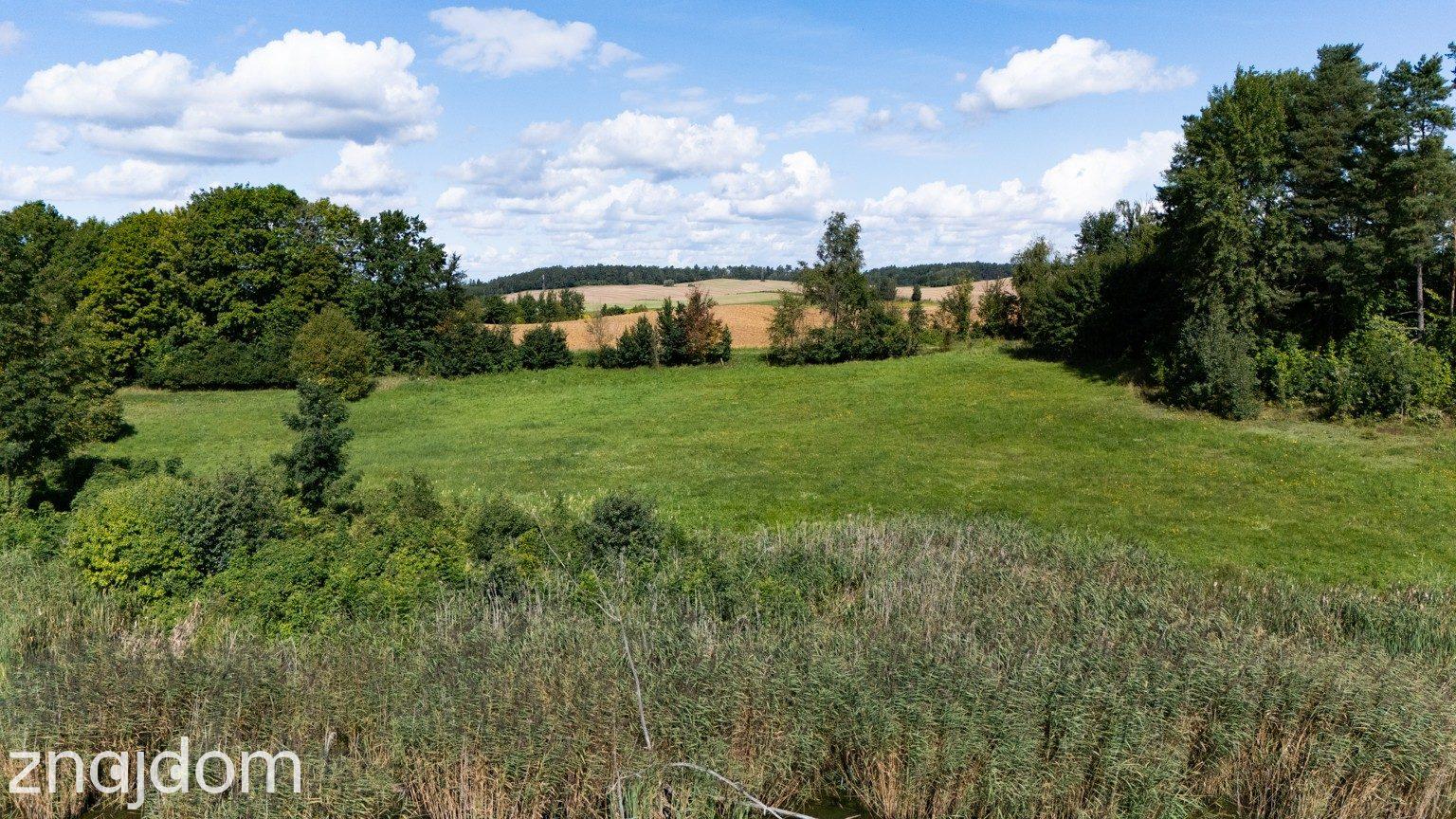 Działka z Linią Brzegową, Mazury powiat giżycki - zdjęcie 9