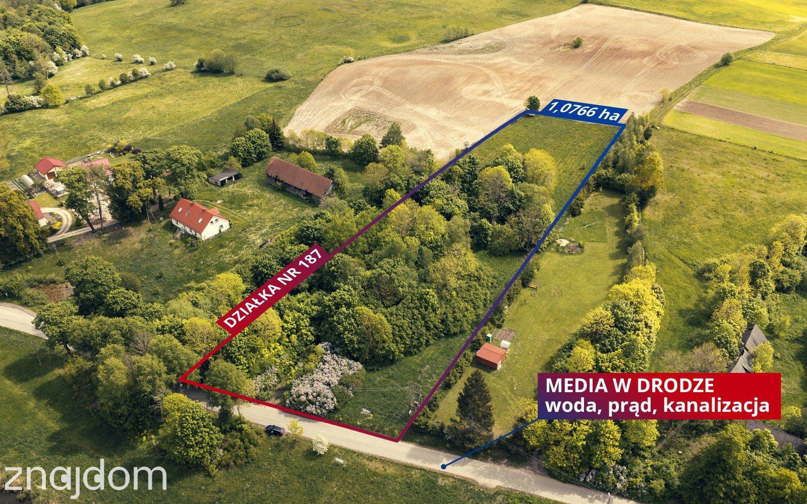 Działka inwestycyjna 1,07 ha w sąsiedztwie jeziora - zdjęcie 2