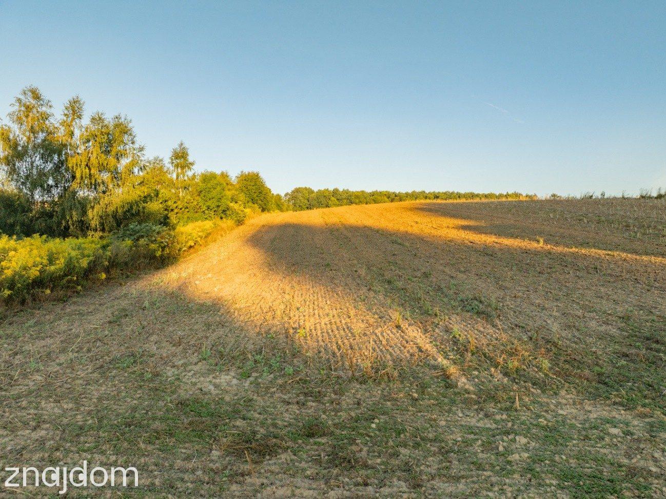 2 ha | pozwolenie na 3 domy | gm. Skała - zdjęcie 12