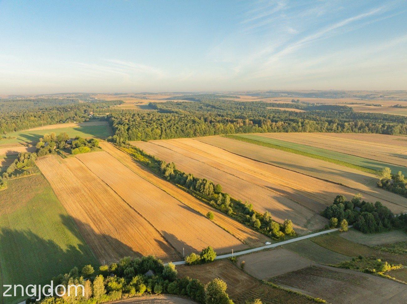2 ha | pozwolenie na 3 domy | gm. Skała - zdjęcie 15