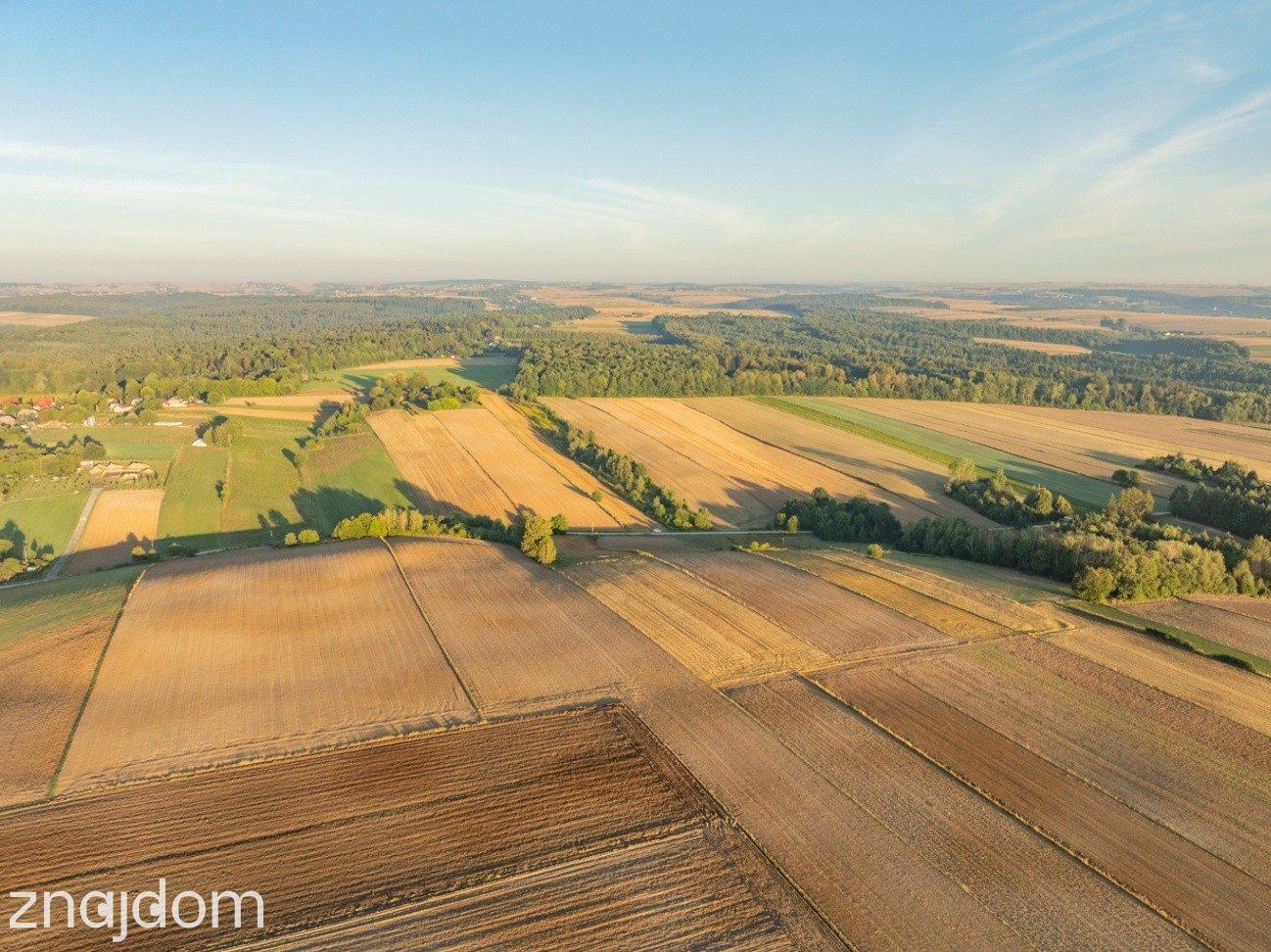 2 ha | pozwolenie na 3 domy | gm. Skała - zdjęcie 16