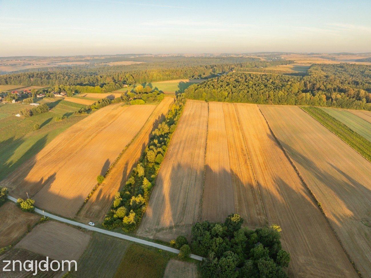2 ha | pozwolenie na 3 domy | gm. Skała - zdjęcie 2