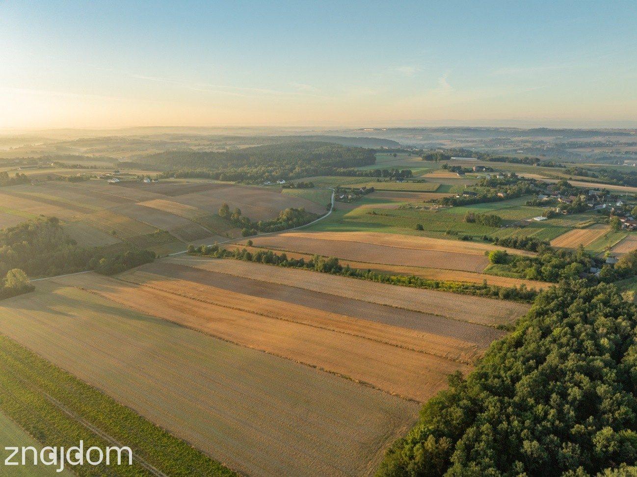 2 ha | pozwolenie na 3 domy | gm. Skała - zdjęcie 3