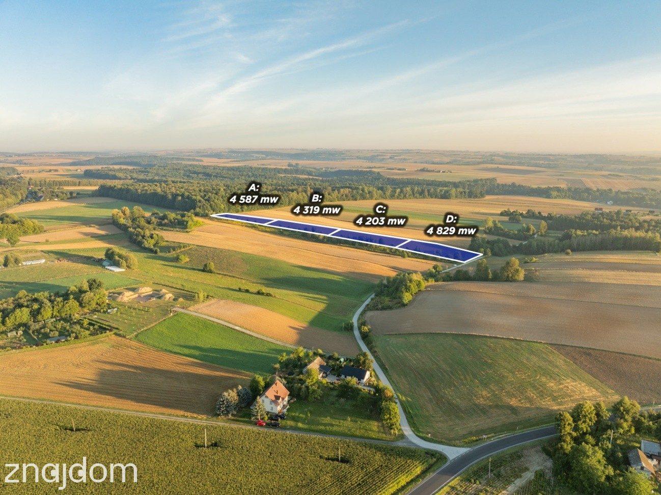 2 ha | pozwolenie na 3 domy | gm. Skała - zdjęcie 6