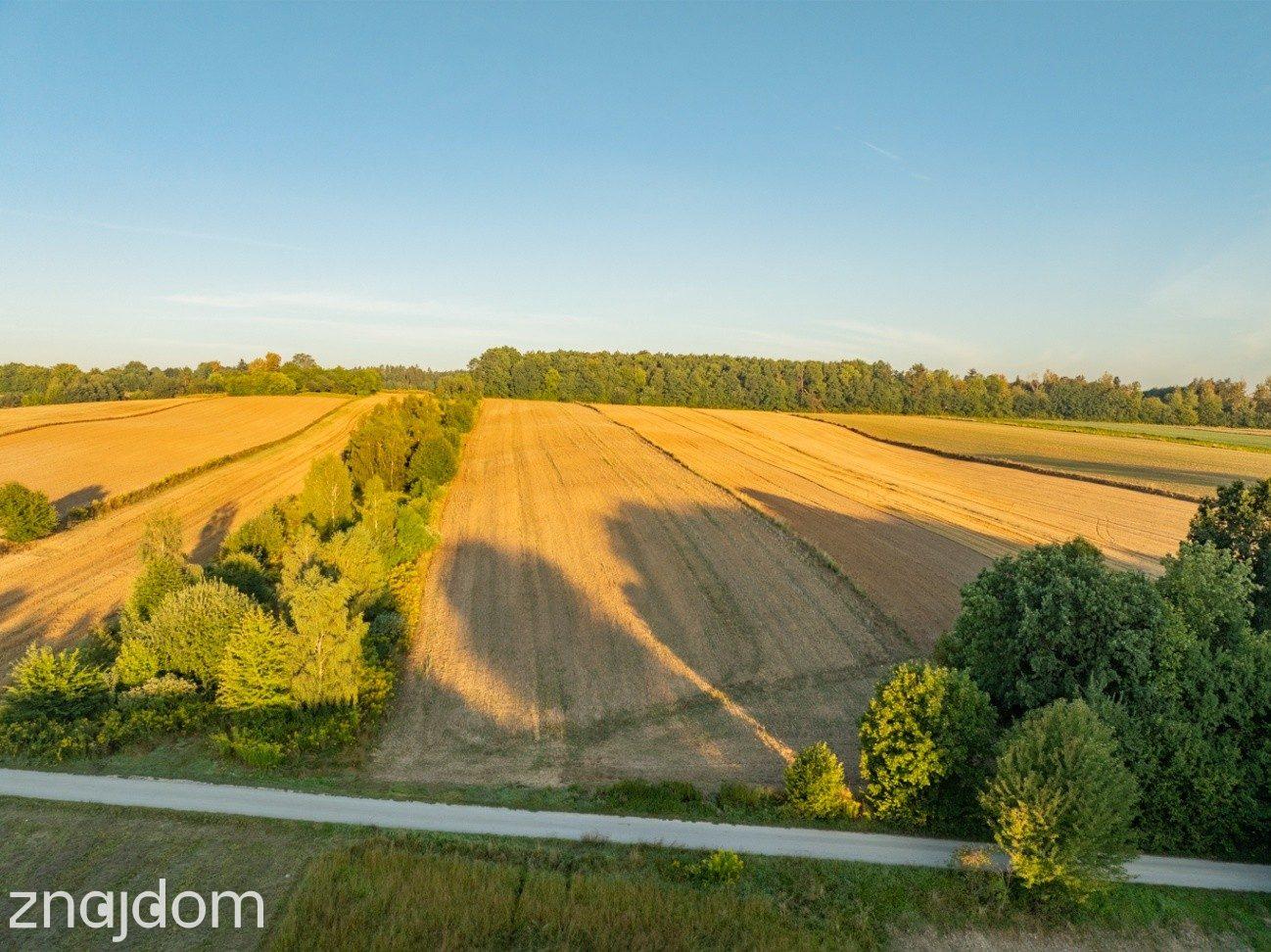2 ha | pozwolenie na 3 domy | gm. Skała - zdjęcie 9