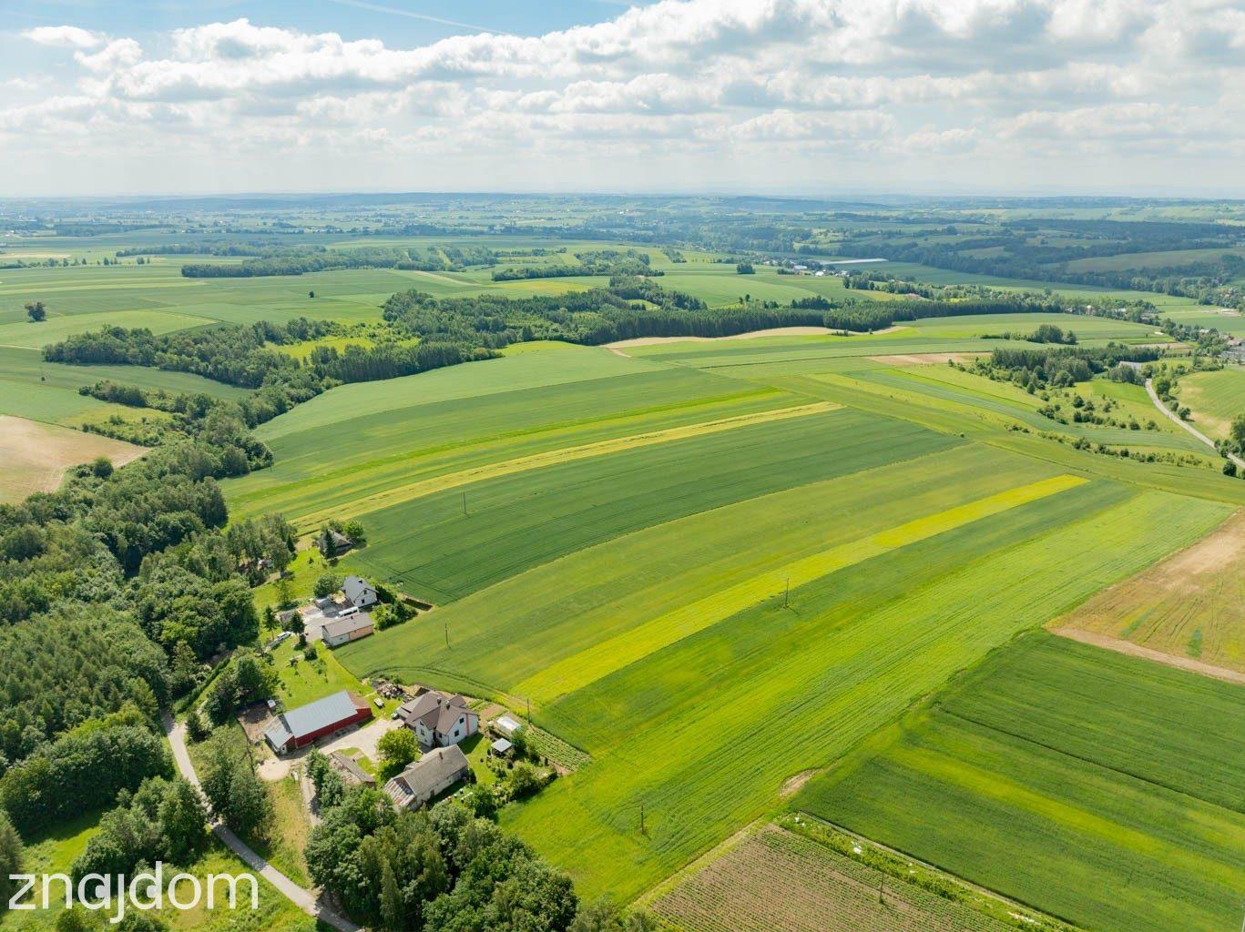 Sielska nieruchomość w otoczeniu natury | 2,20 HA - zdjęcie 10