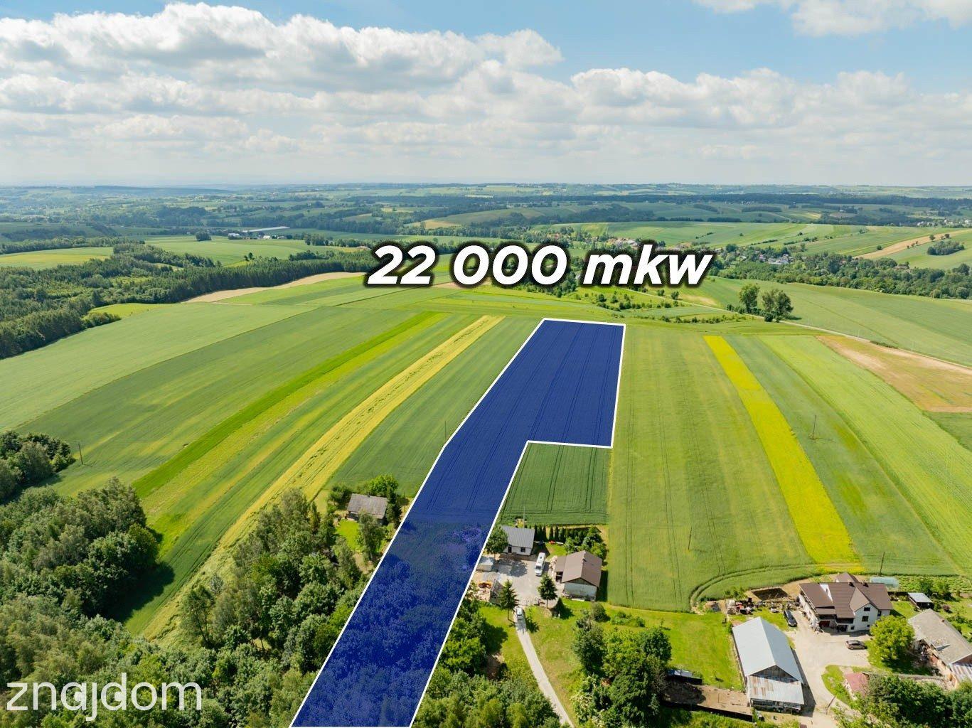 Sielska nieruchomość w otoczeniu natury | 2,20 HA - zdjęcie 11