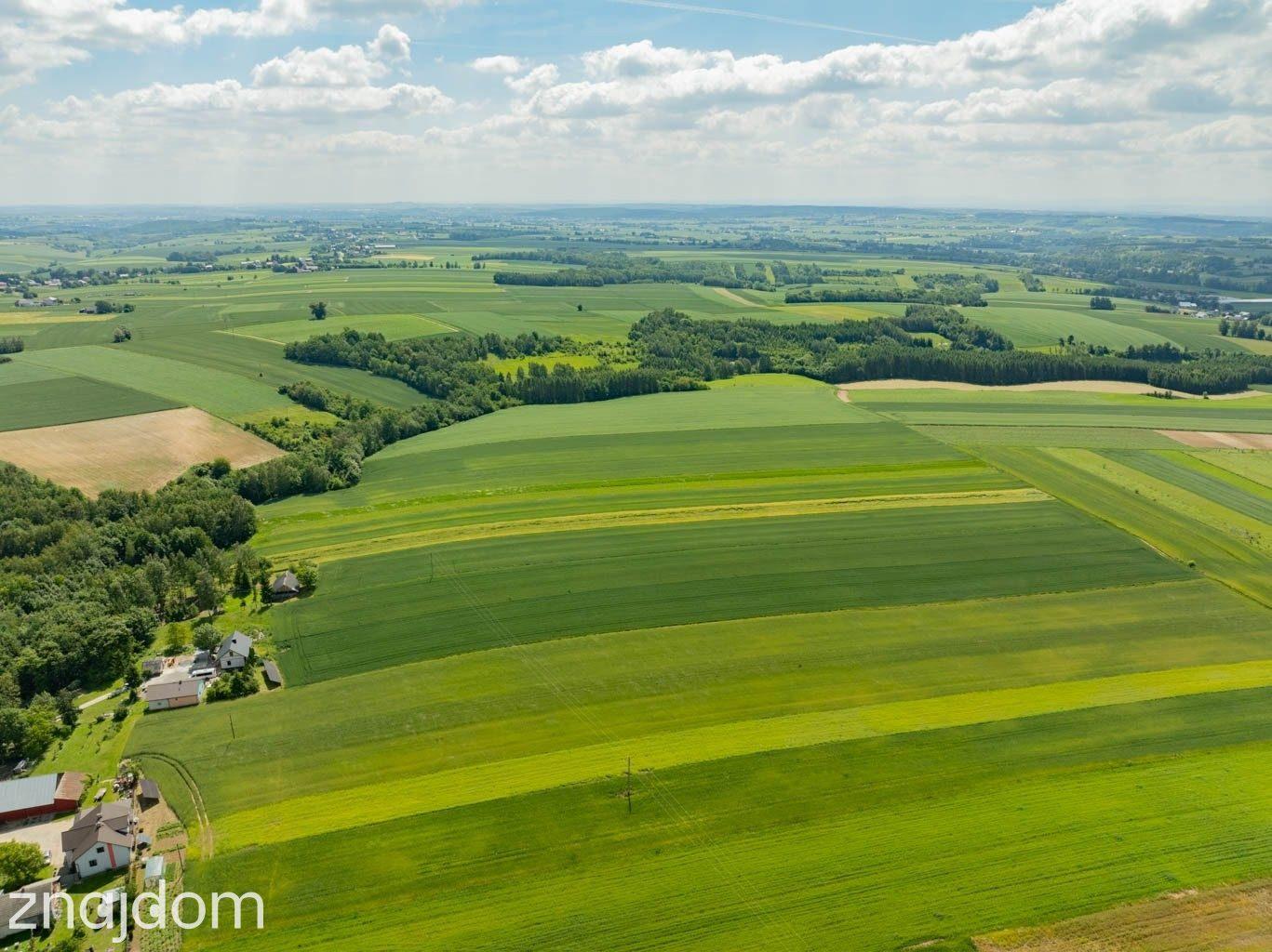 Sielska nieruchomość w otoczeniu natury | 2,20 HA - zdjęcie 12