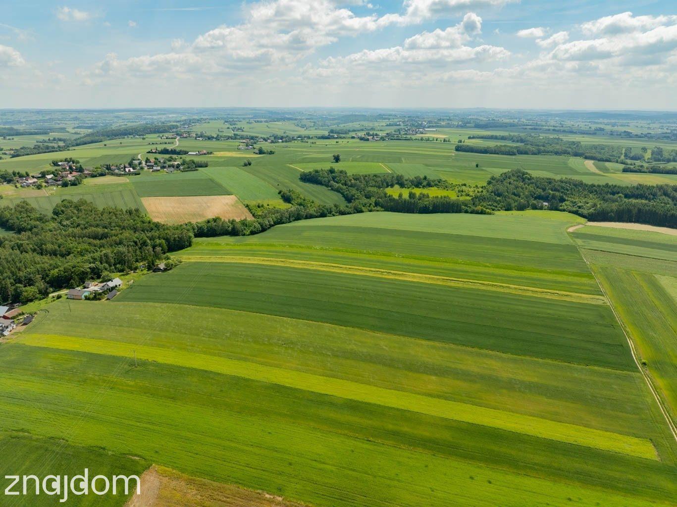 Sielska nieruchomość w otoczeniu natury | 2,20 HA - zdjęcie 13