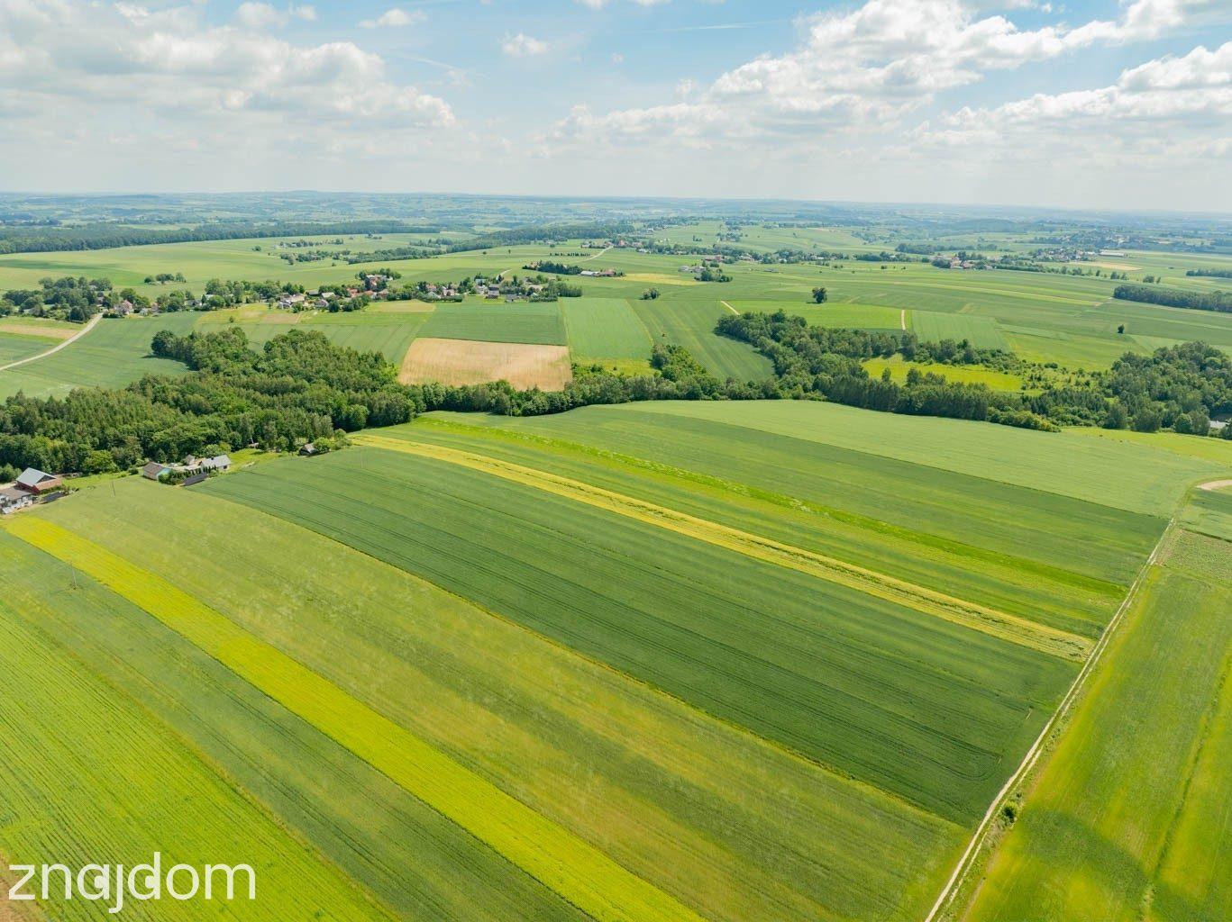 Sielska nieruchomość w otoczeniu natury | 2,20 HA - zdjęcie 14