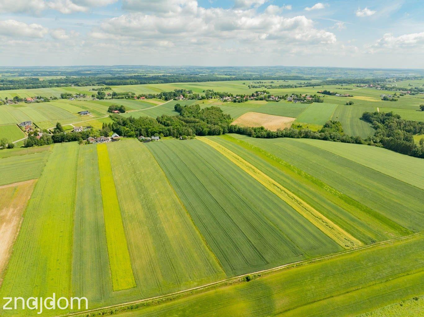 Sielska nieruchomość w otoczeniu natury | 2,20 HA - zdjęcie 15