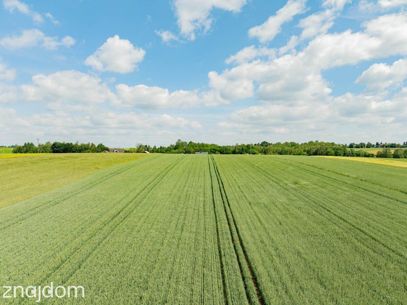 Sielska nieruchomość w otoczeniu natury | 2,20 HA - zdjęcie 17