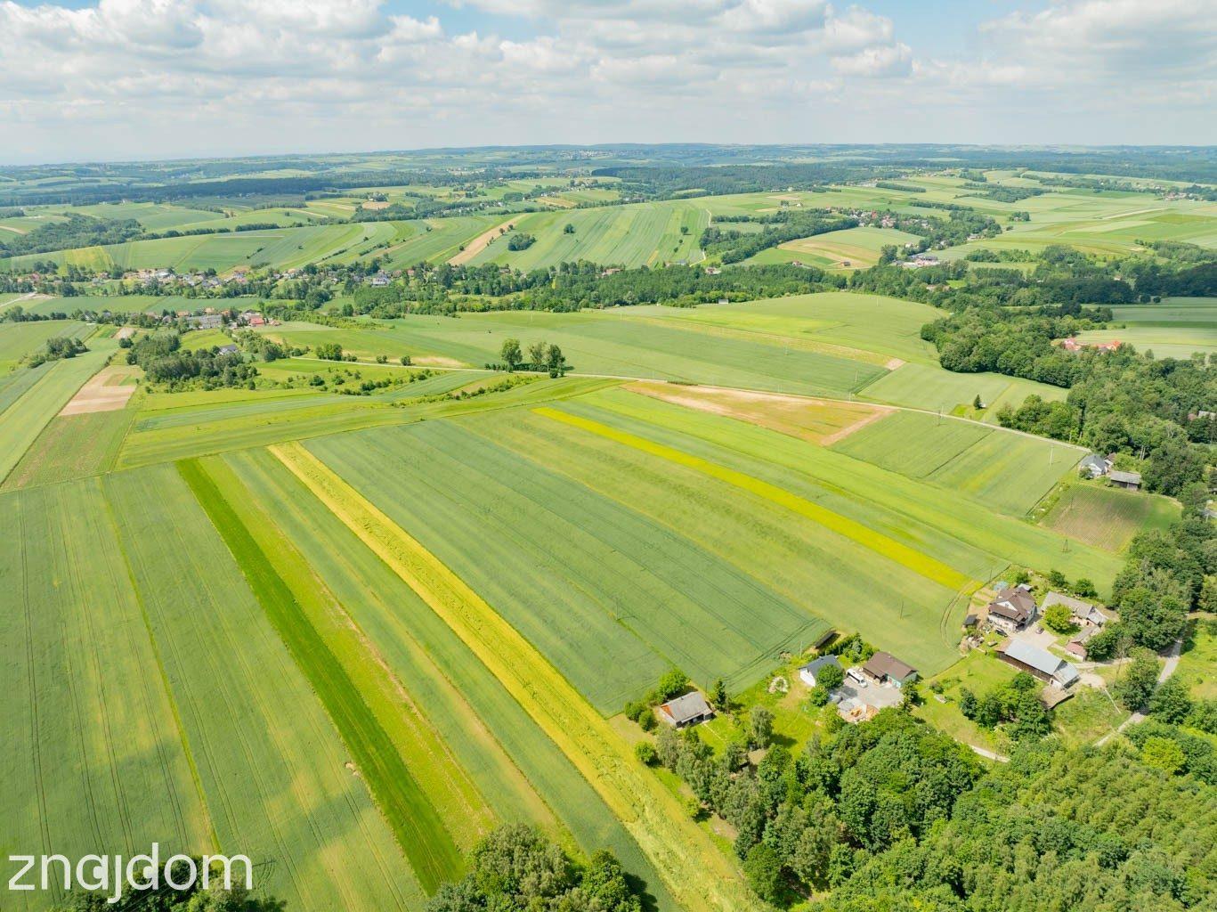 Sielska nieruchomość w otoczeniu natury | 2,20 HA - zdjęcie 19