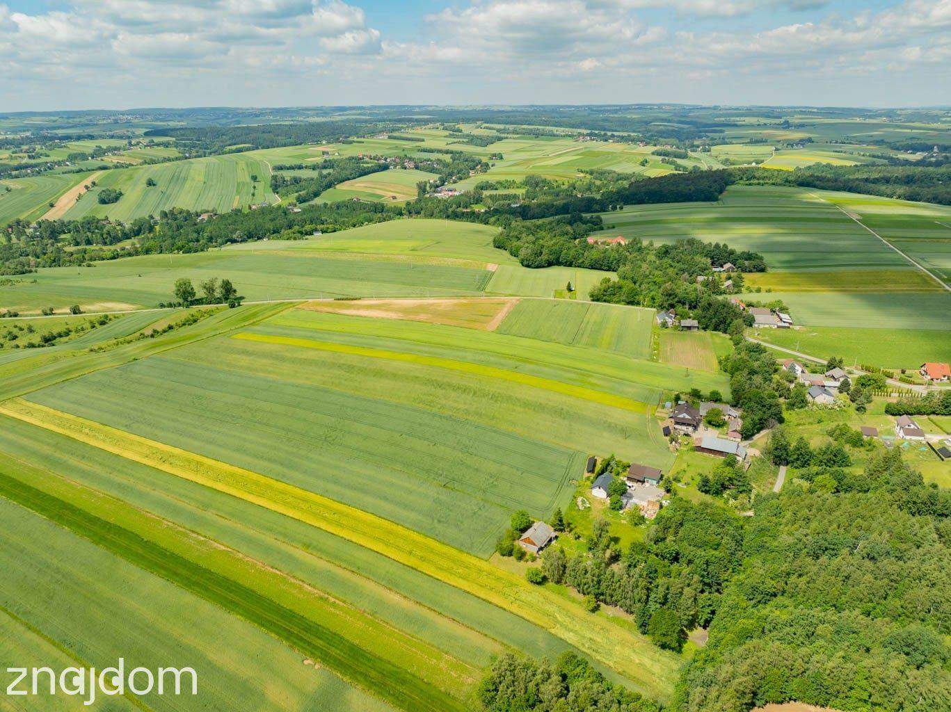 Sielska nieruchomość w otoczeniu natury | 2,20 HA - zdjęcie 20
