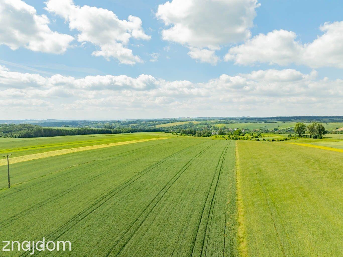 Sielska nieruchomość w otoczeniu natury | 2,20 HA - zdjęcie 22