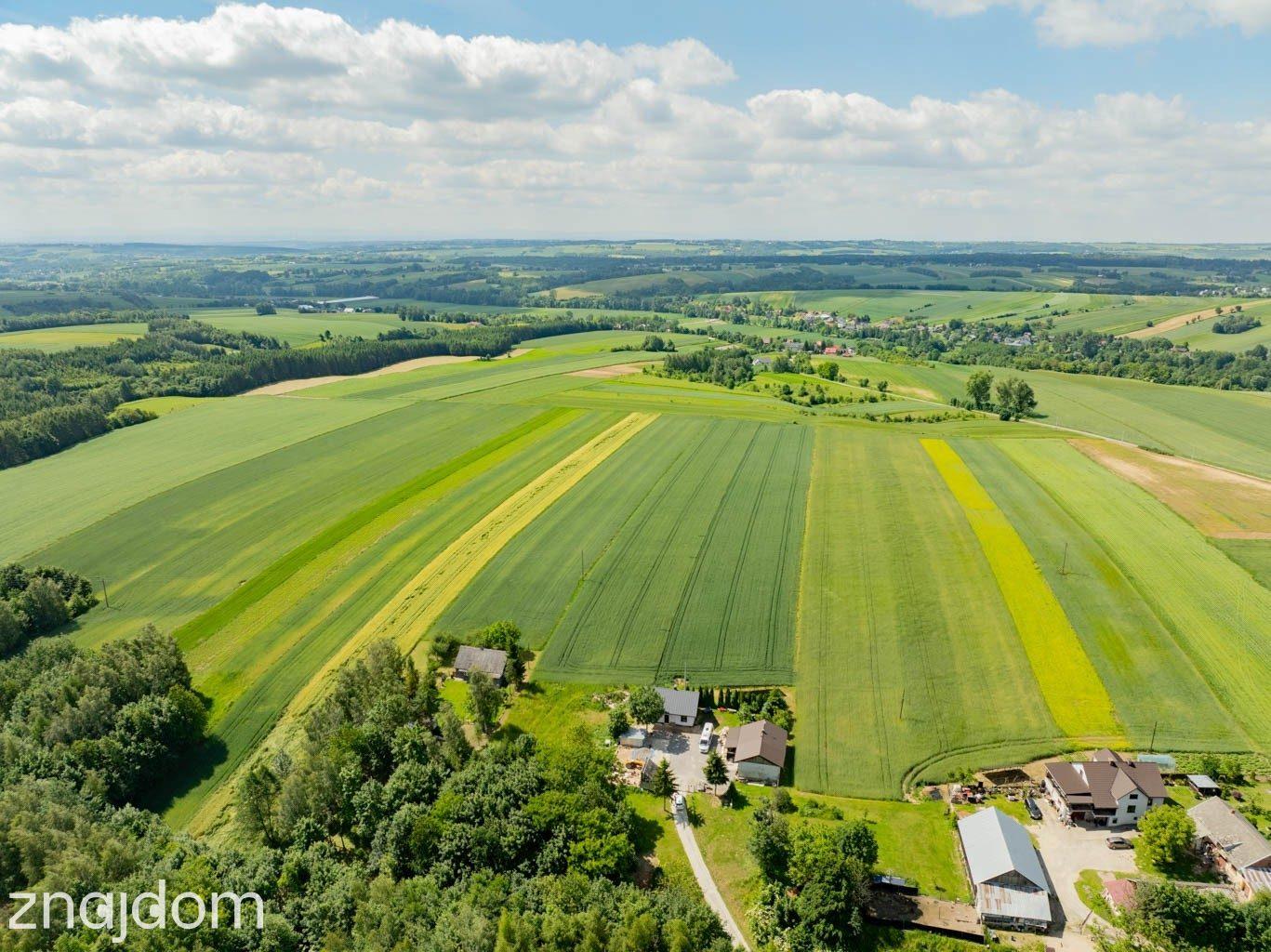 Sielska nieruchomość w otoczeniu natury | 2,20 HA - zdjęcie 3