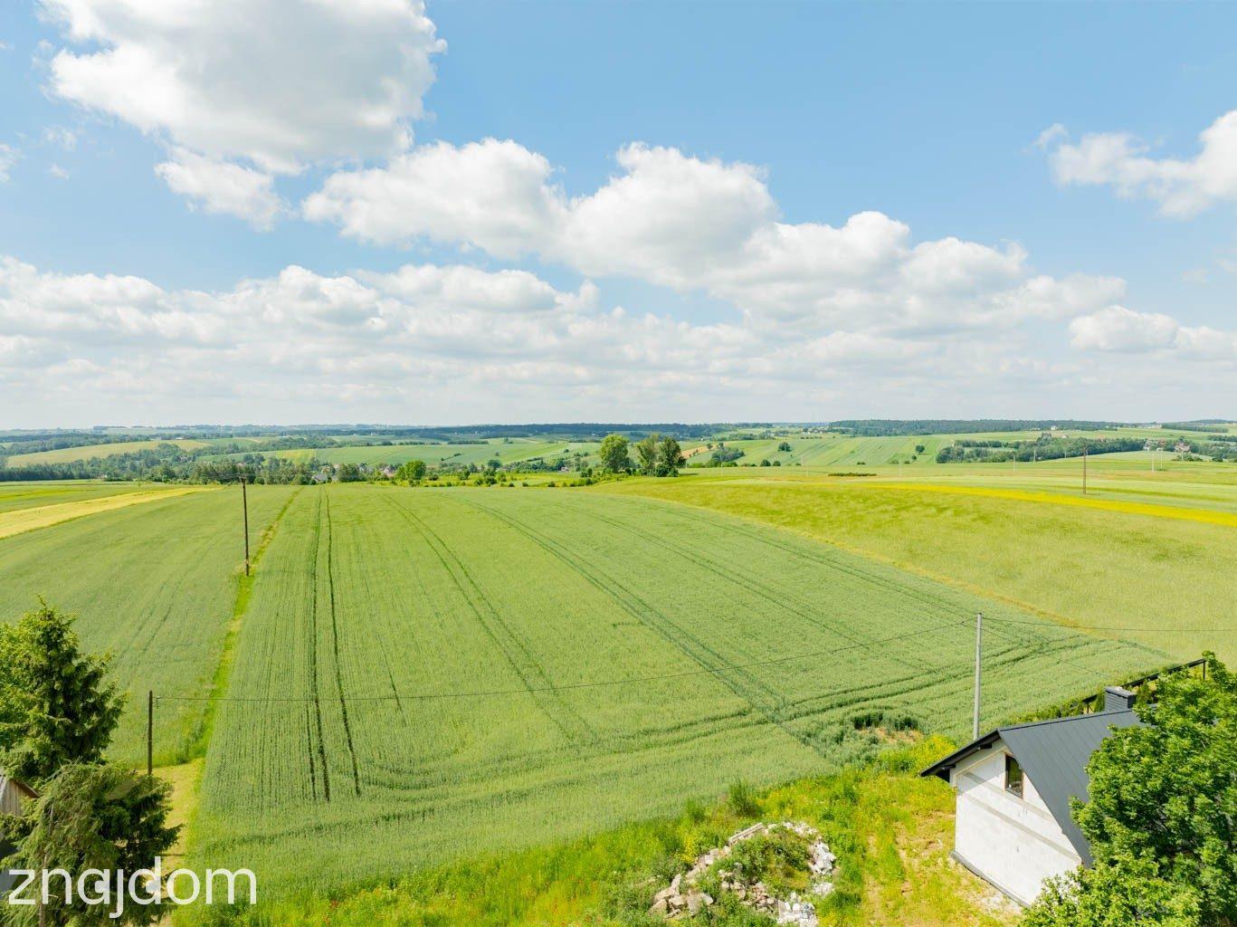 Sielska nieruchomość w otoczeniu natury | 2,20 HA - zdjęcie 4