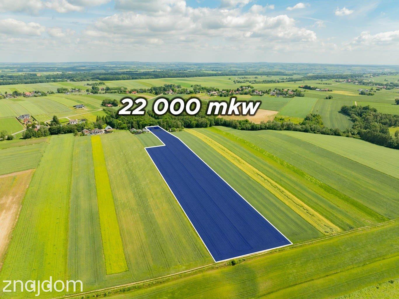 Sielska nieruchomość w otoczeniu natury | 2,20 HA - zdjęcie 5