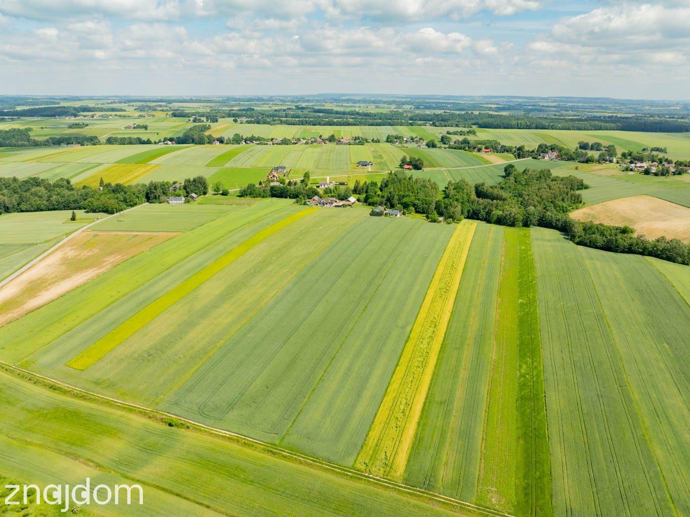 Sielska nieruchomość w otoczeniu natury | 2,20 HA - zdjęcie 7