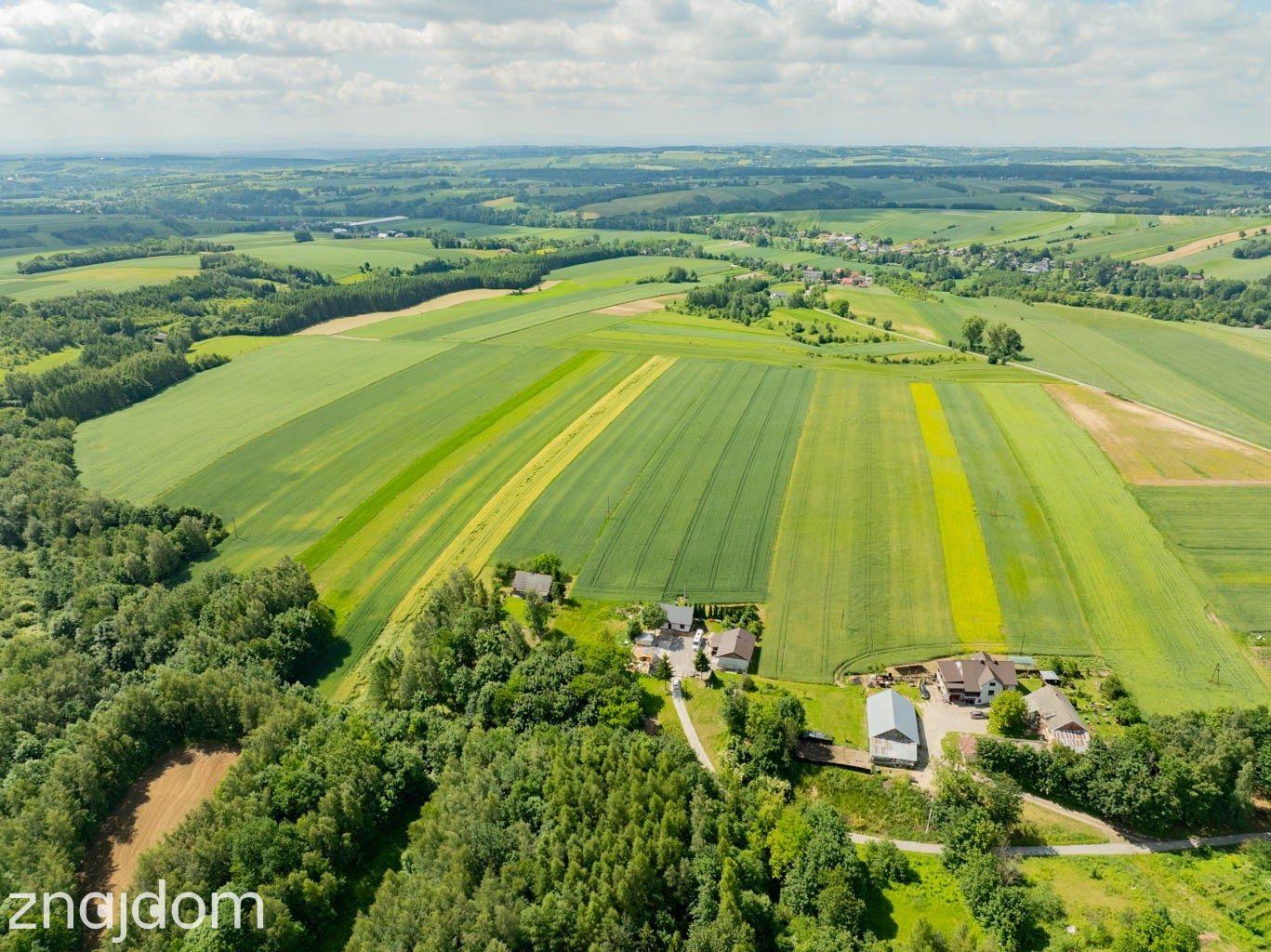 Sielska nieruchomość w otoczeniu natury | 2,20 HA - zdjęcie 8