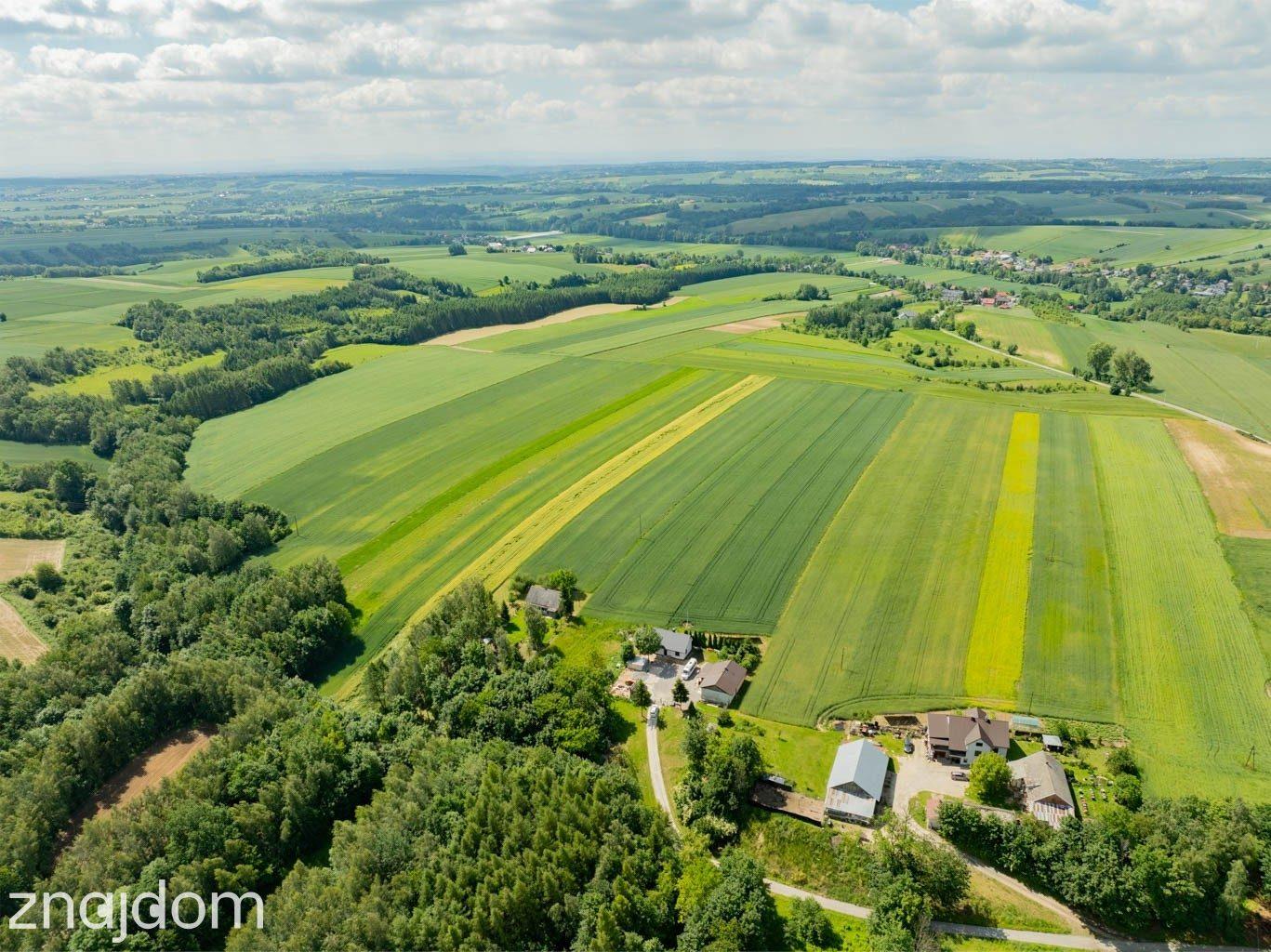 Sielska nieruchomość w otoczeniu natury | 2,20 HA - zdjęcie 9