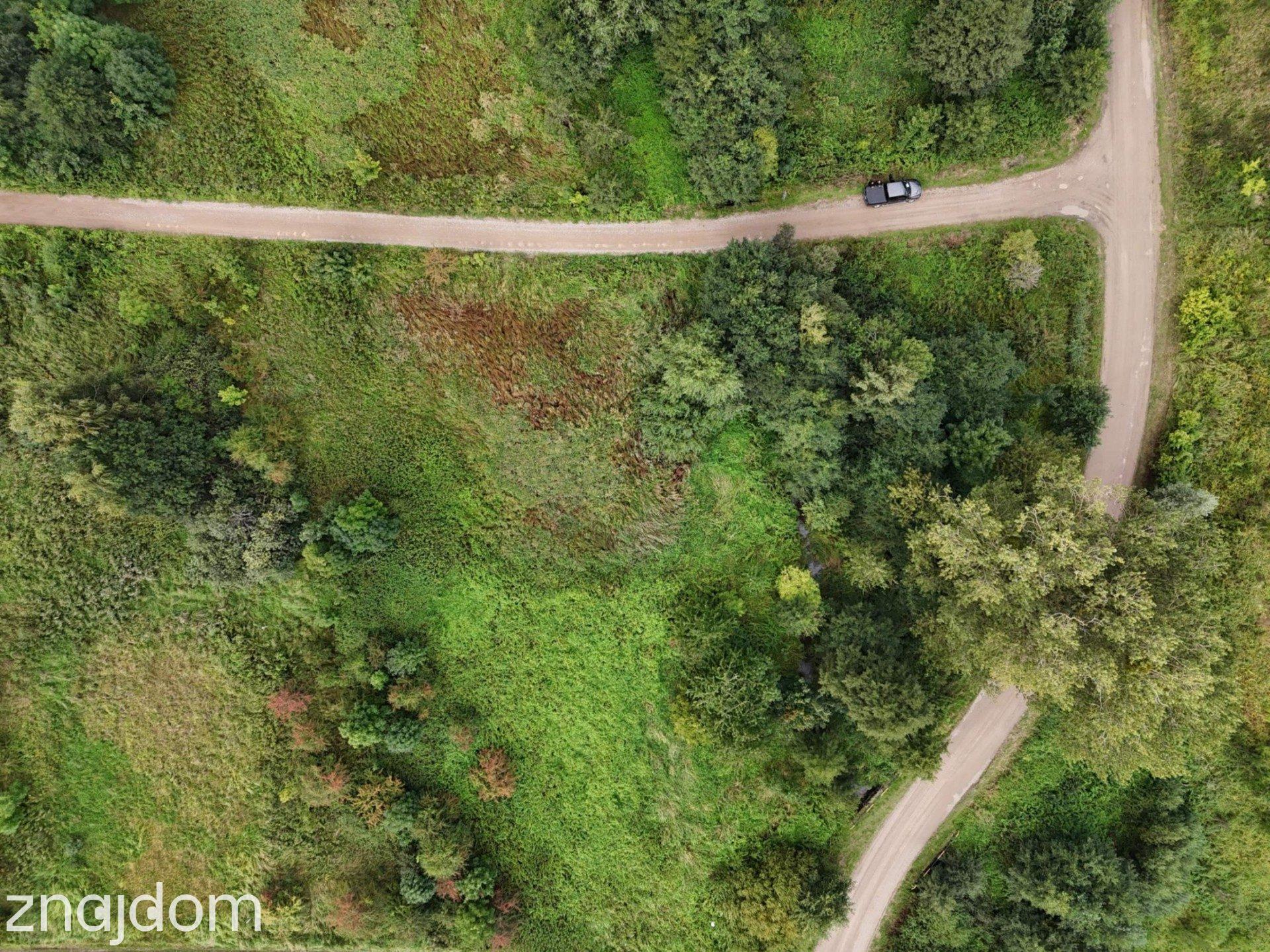 Działka 1073m² blisko morza | Osłonino | prąd | 30 min od Gdyni - zdjęcie 6