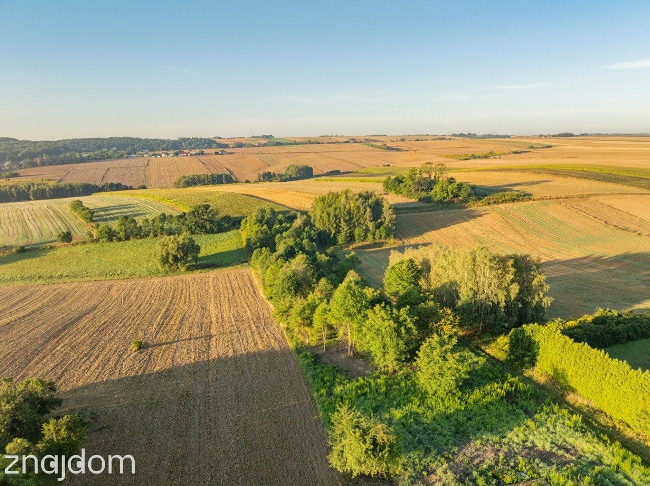 80 arów | pozwolenie na budowę 2 domów - zdjęcie 12