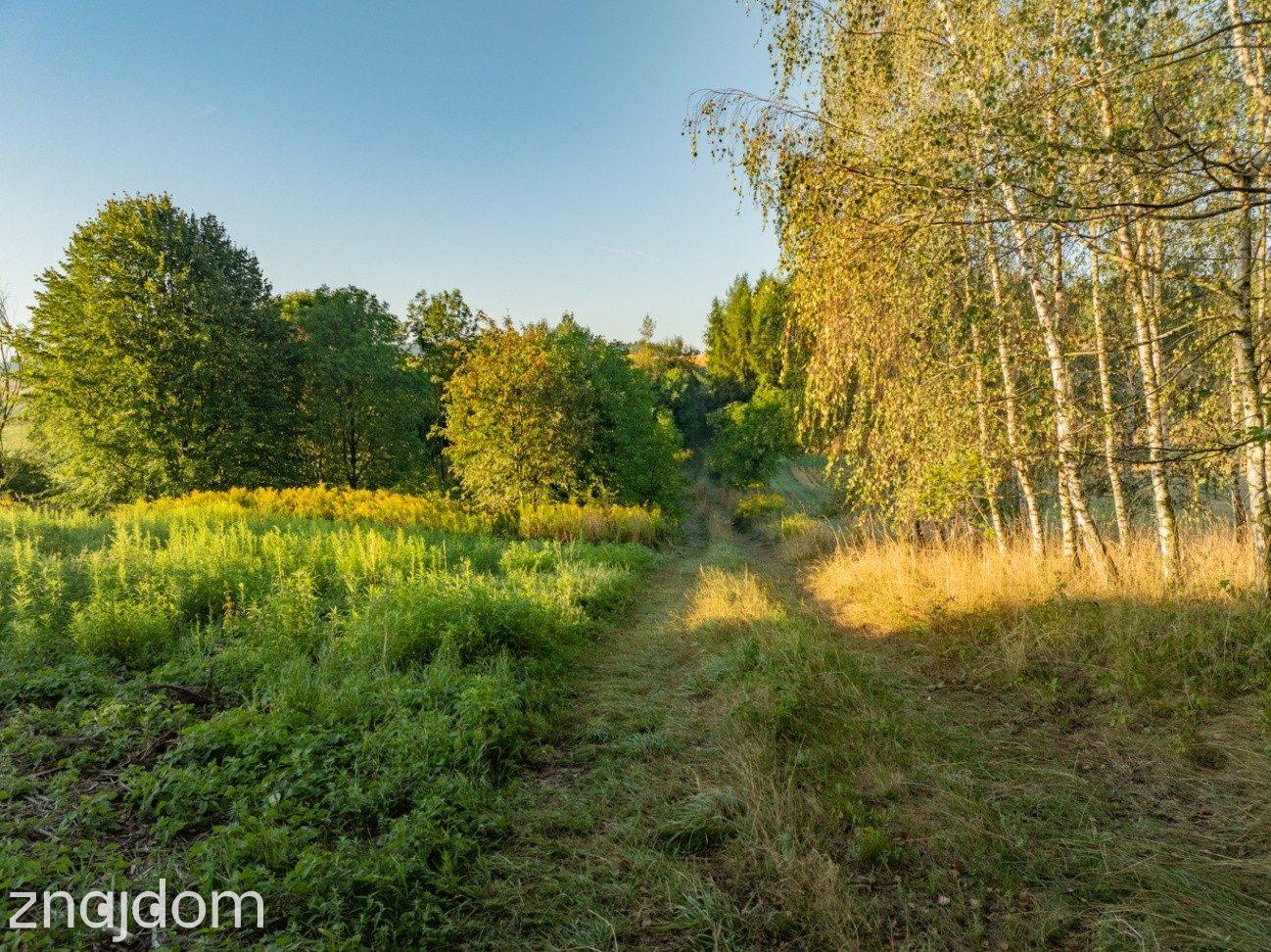 80 arów | pozwolenie na budowę 2 domów - zdjęcie 16