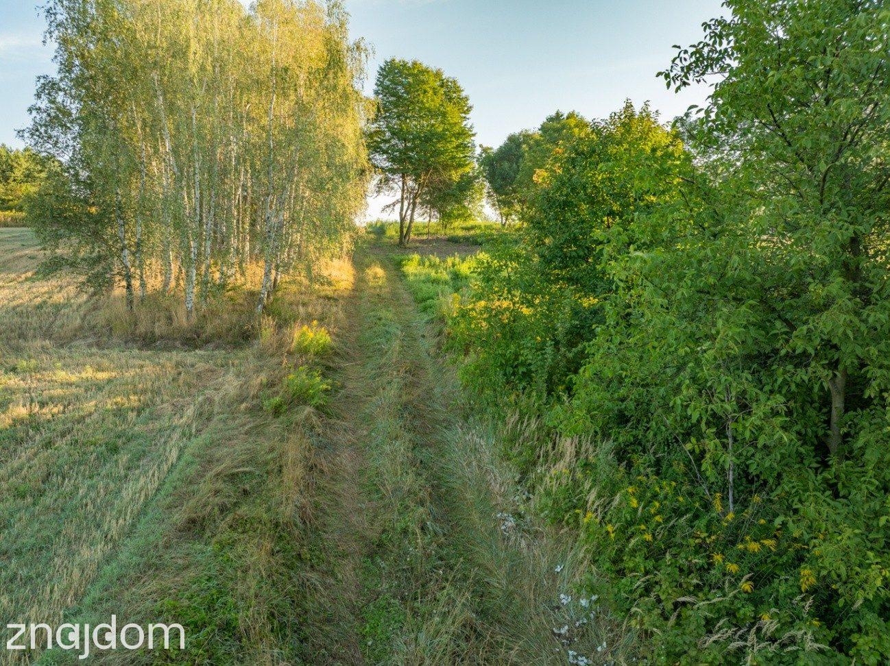 80 arów | pozwolenie na budowę 2 domów - zdjęcie 19