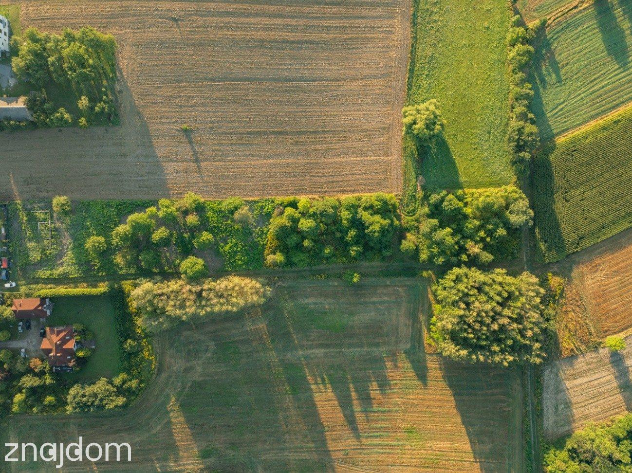 80 arów | pozwolenie na budowę 2 domów - zdjęcie 6