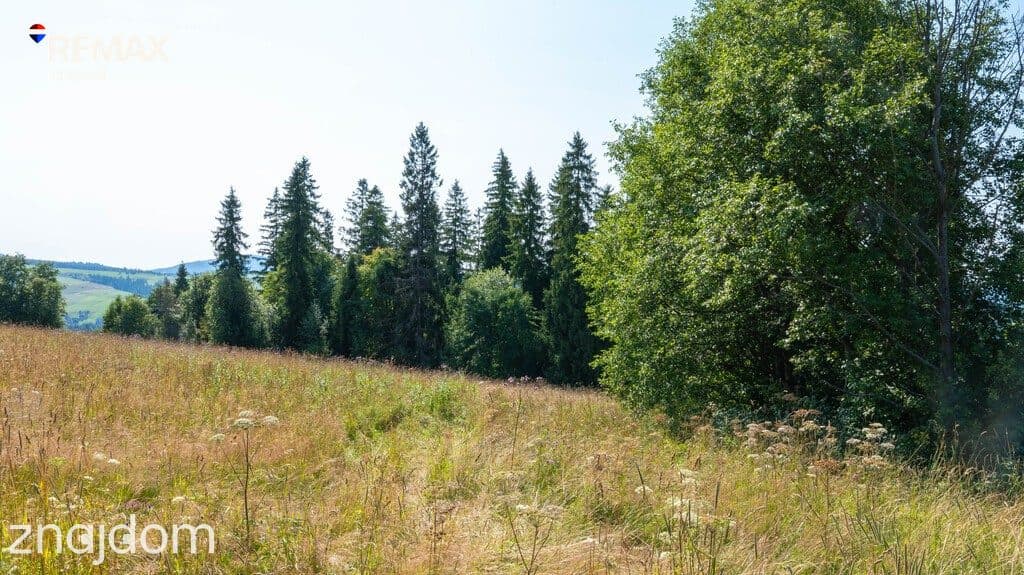 Twój kawałek natury z widokiem na Tatry - zdjęcie 14