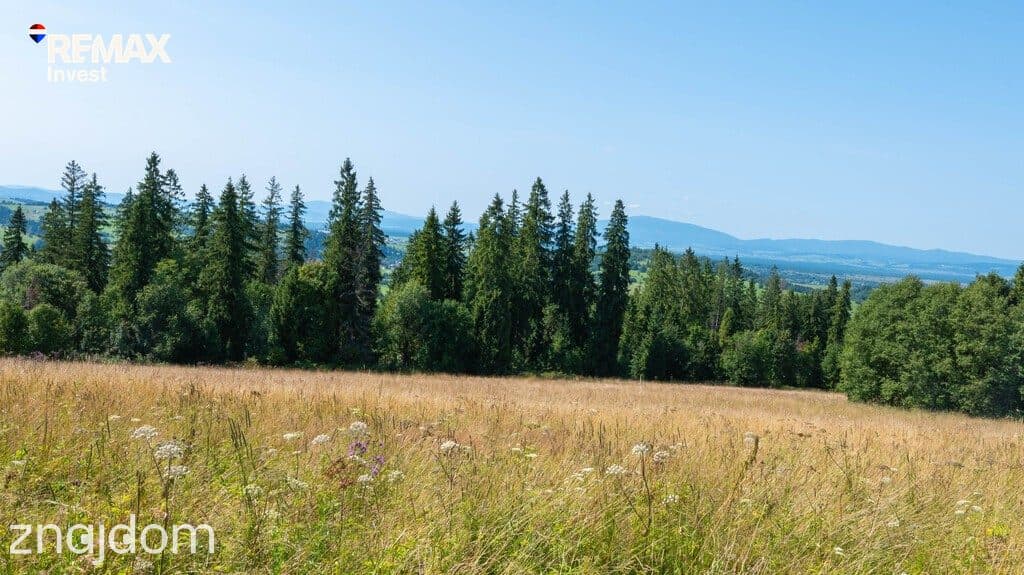 Twój kawałek natury z widokiem na Tatry - zdjęcie 4