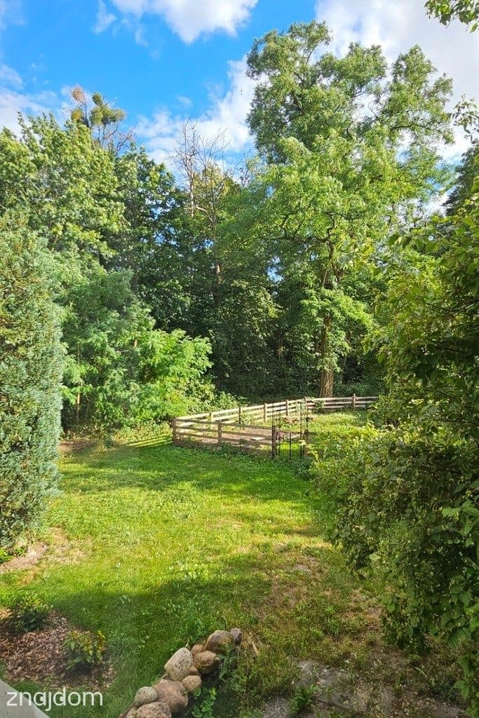 Pałacowe 70 m² z ogrodem i 87 m² piwnicą - zdjęcie 19