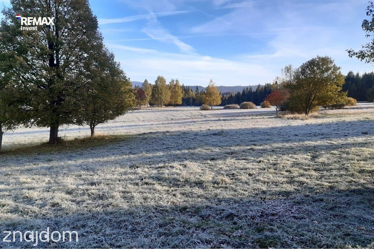 Górska enklawa – 2,5 ha wolności - zdjęcie 14