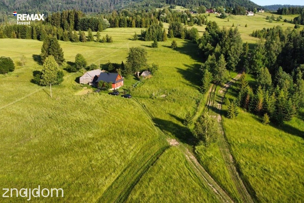 Górska enklawa – 2,5 ha wolności - zdjęcie 2