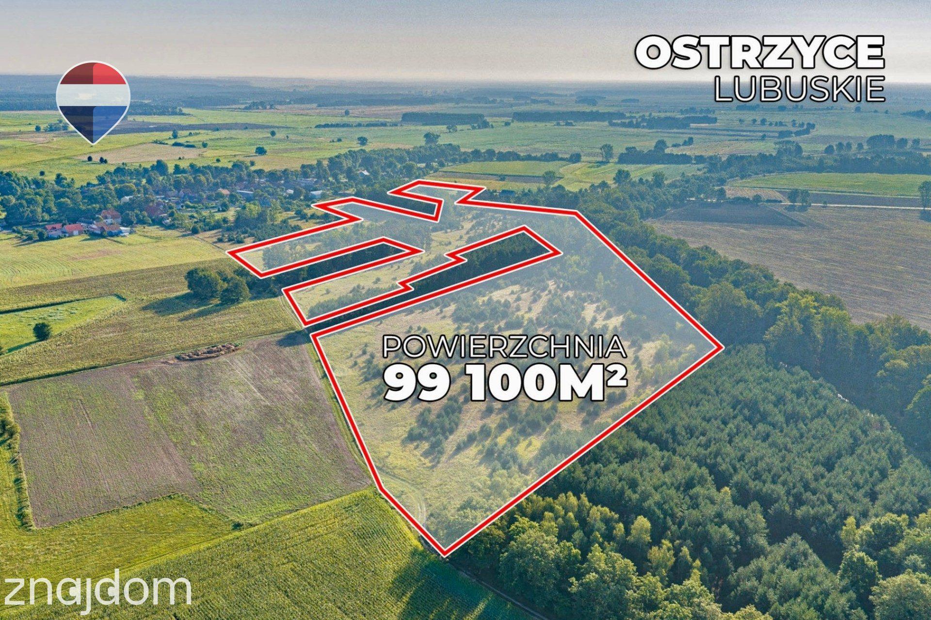 Działka 99.100 m² + budynek prod.-magazyn. + mieszkanie - zdjęcie 22