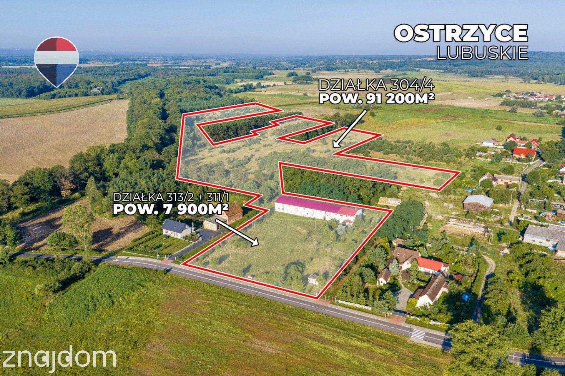 Działka 99.100 m² + budynek prod.-magazyn. + mieszkanie - zdjęcie 3