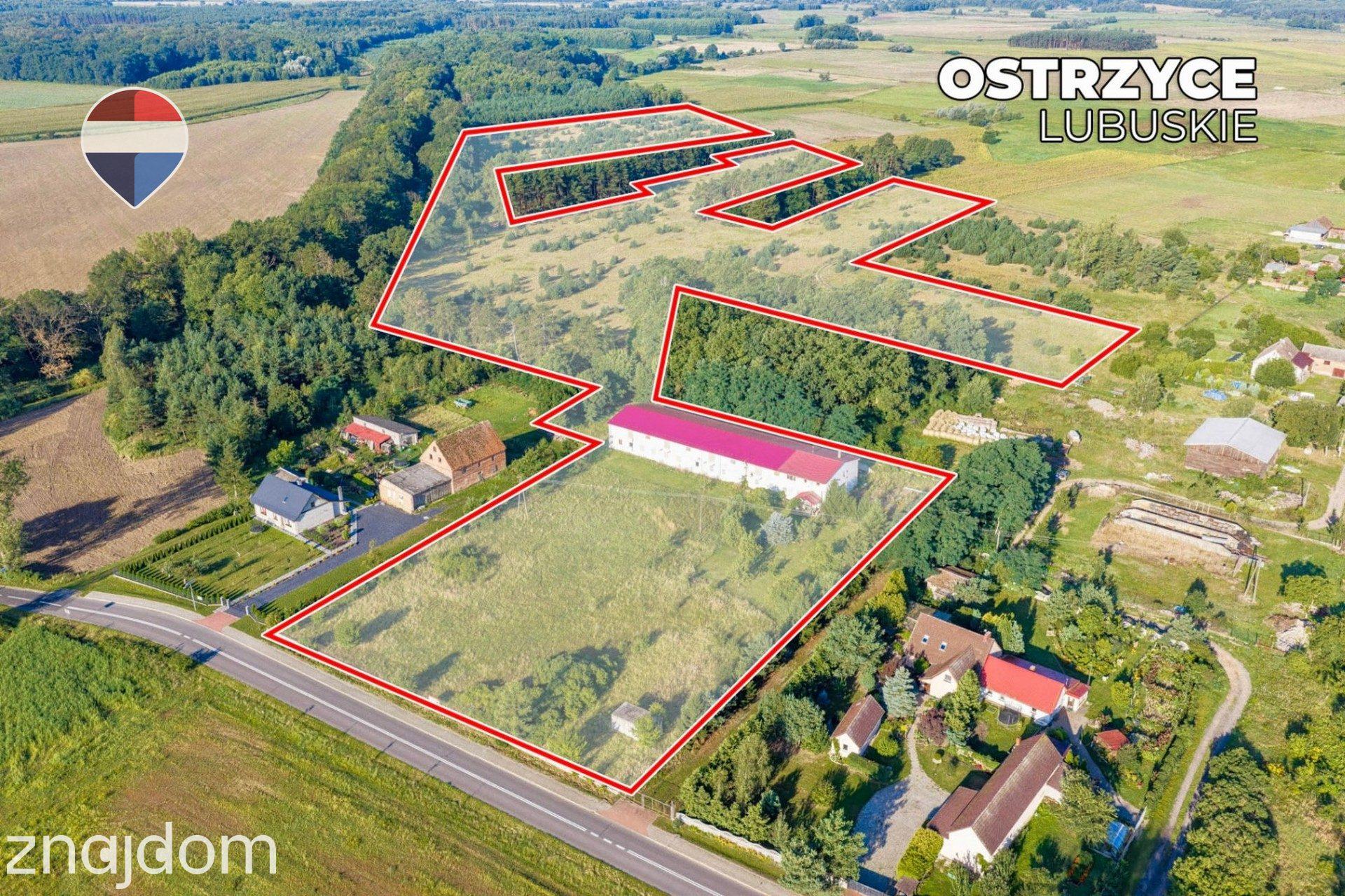 Działka 99.100 m² + budynek prod.-magazyn. + mieszkanie - zdjęcie 4