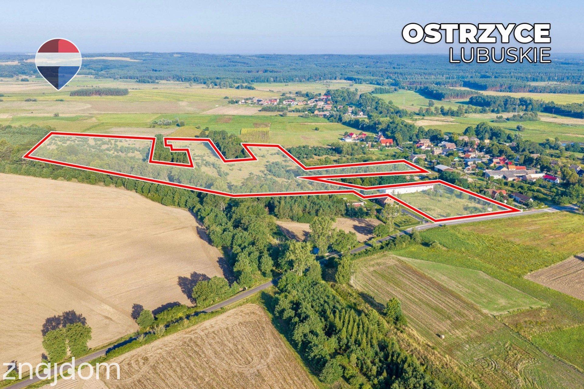 Działka 99.100 m² + budynek prod.-magazyn. + mieszkanie - zdjęcie 6