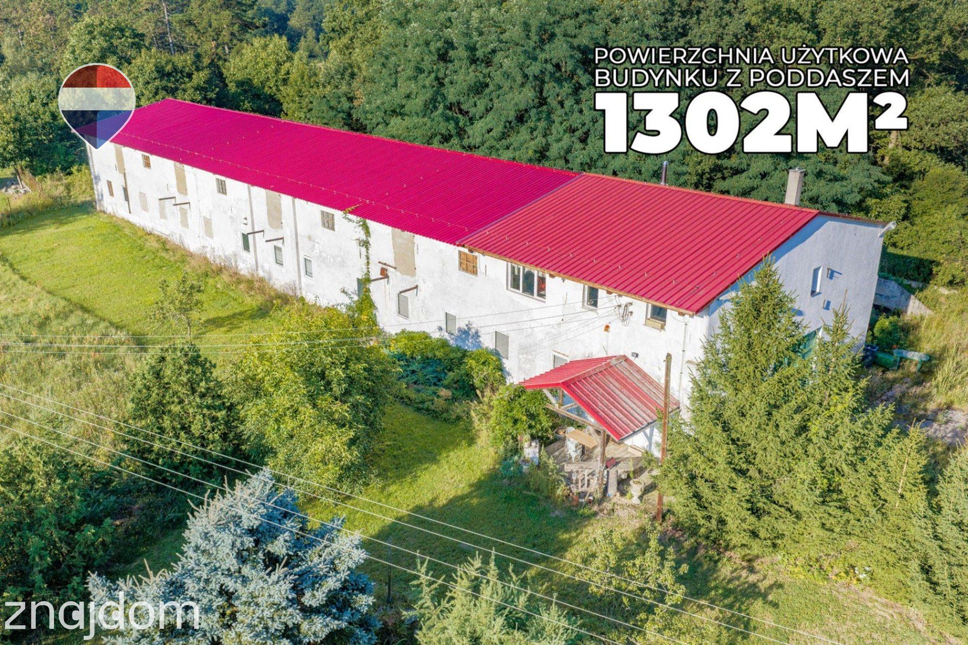 Działka 99.100 m² + budynek prod.-magazyn. + mieszkanie - zdjęcie 7