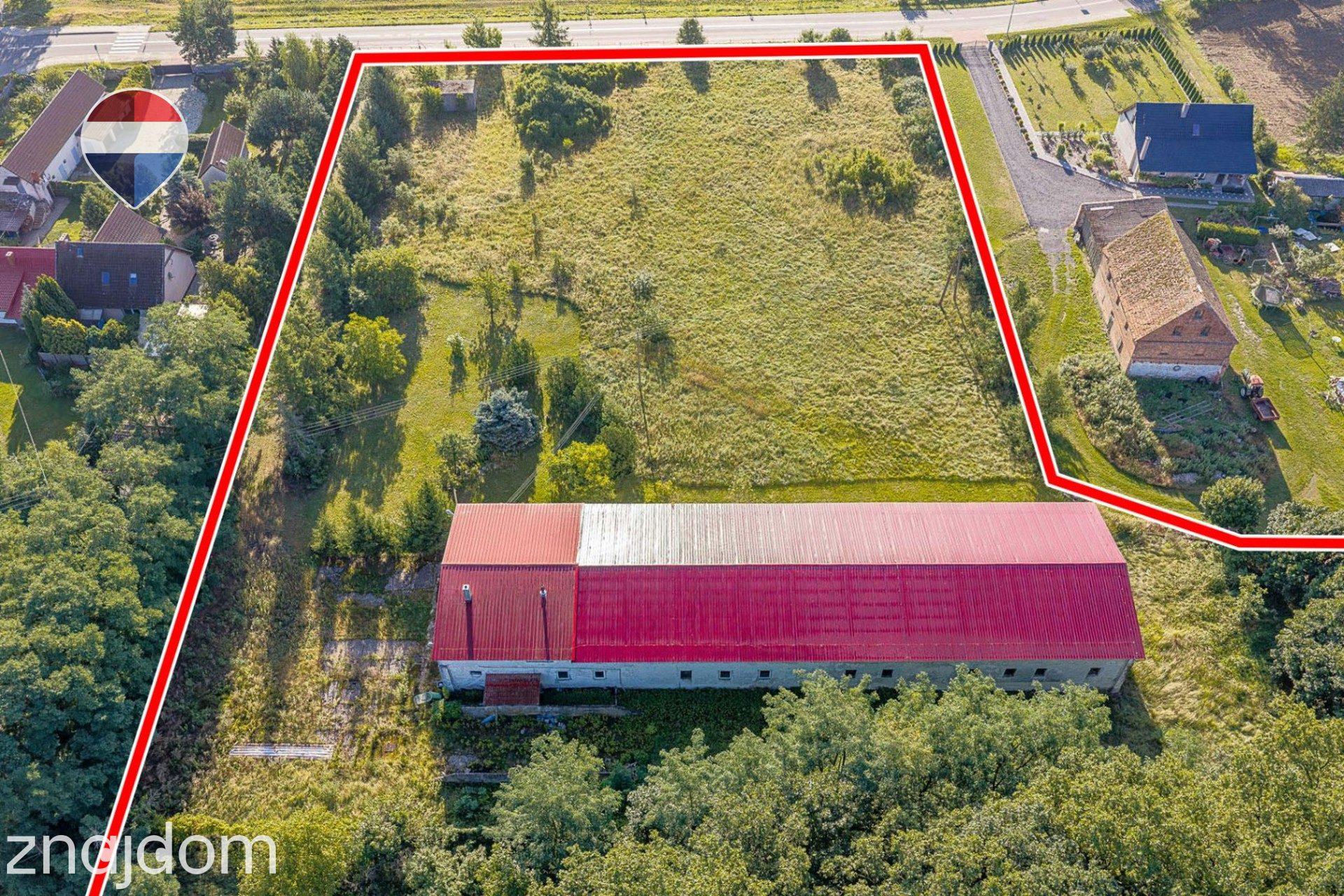 Działka 99.100 m² + budynek prod.-magazyn. + mieszkanie - zdjęcie 9