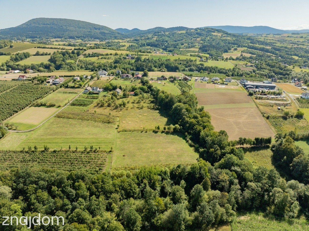 Działka rolno-leśna, 1,56 ha, Sadek, Jodłownik - zdjęcie 10