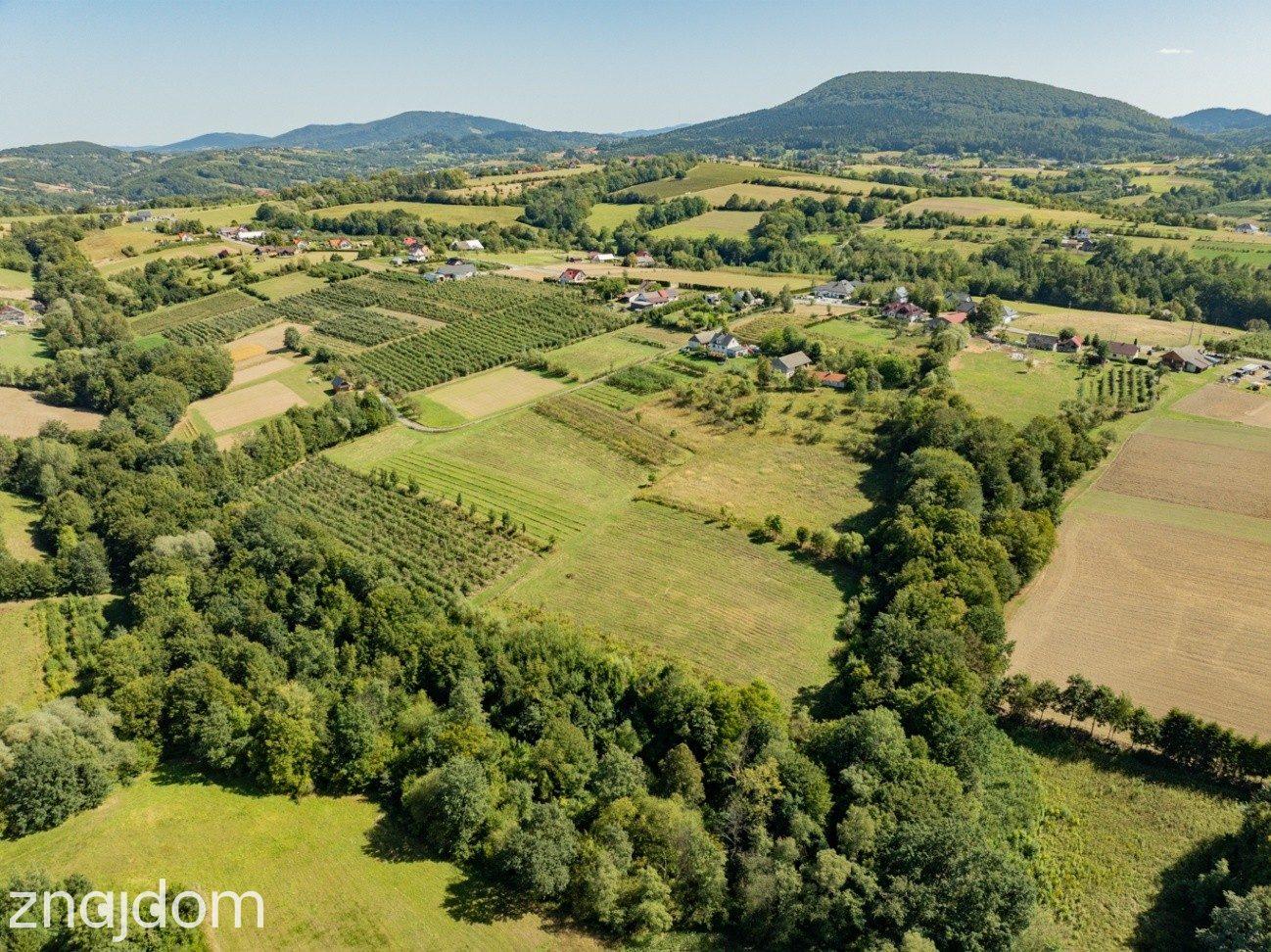 Działka rolno-leśna, 1,56 ha, Sadek, Jodłownik - zdjęcie 11
