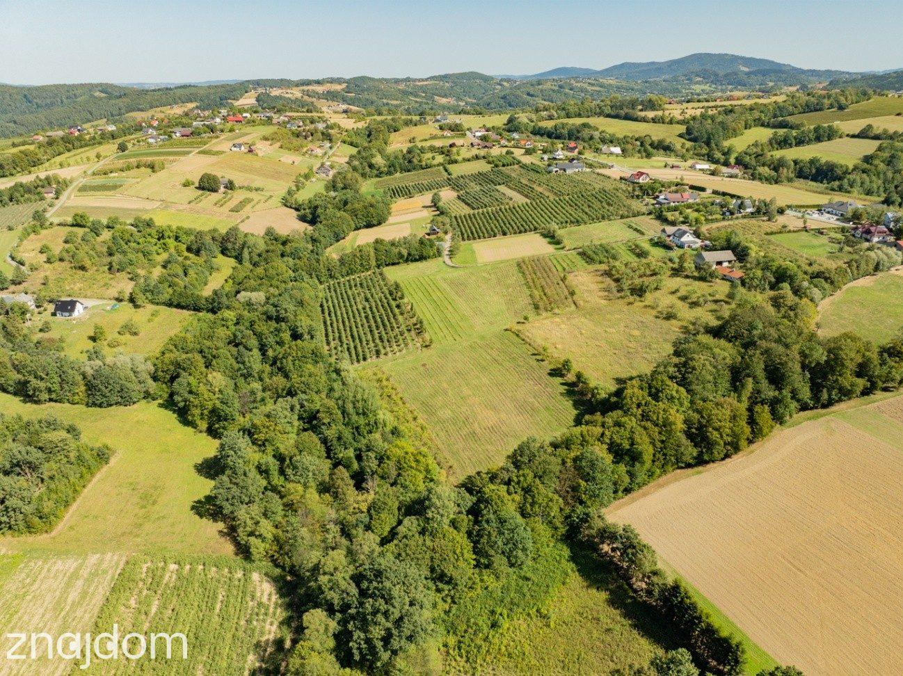 Działka rolno-leśna, 1,56 ha, Sadek, Jodłownik - zdjęcie 12
