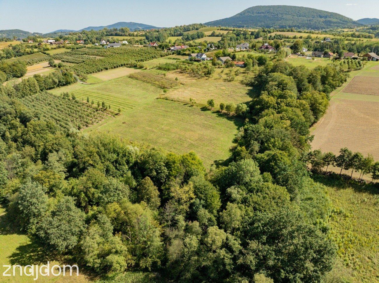 Działka rolno-leśna, 1,56 ha, Sadek, Jodłownik - zdjęcie 13